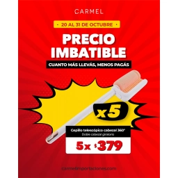 PROMO X5 - CEPILLO TELESC�PICO PARA VASOS 360� CON DOBLE CABEZAL