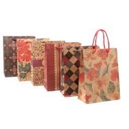 BOLSA DE PAPEL CON ASAS (DISE�O PARA REGALO) 24,5 X 19 X 8 CM - 4638