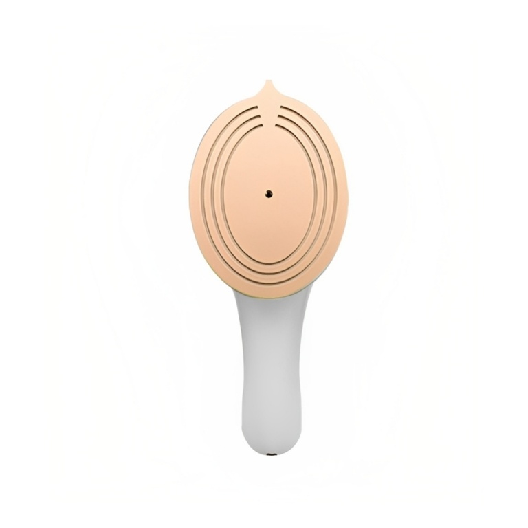 PLANCHA A VAPOR PROFESIONAL MINI PORTÁTIL 2EN1 (HOGAR Y VIAJE)